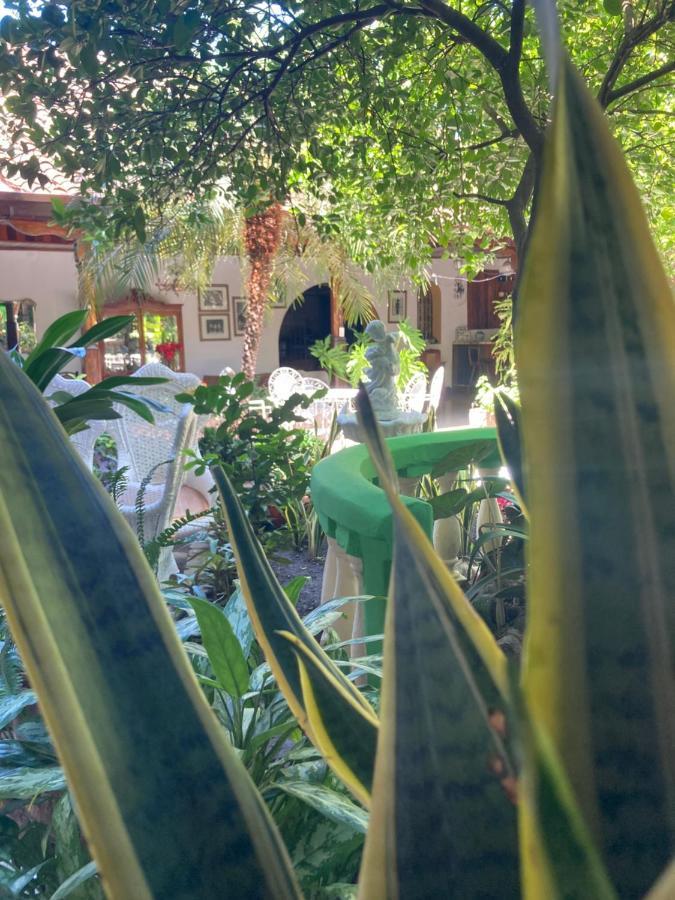 Casadelias Ξενοδοχείο Granada Εξωτερικό φωτογραφία